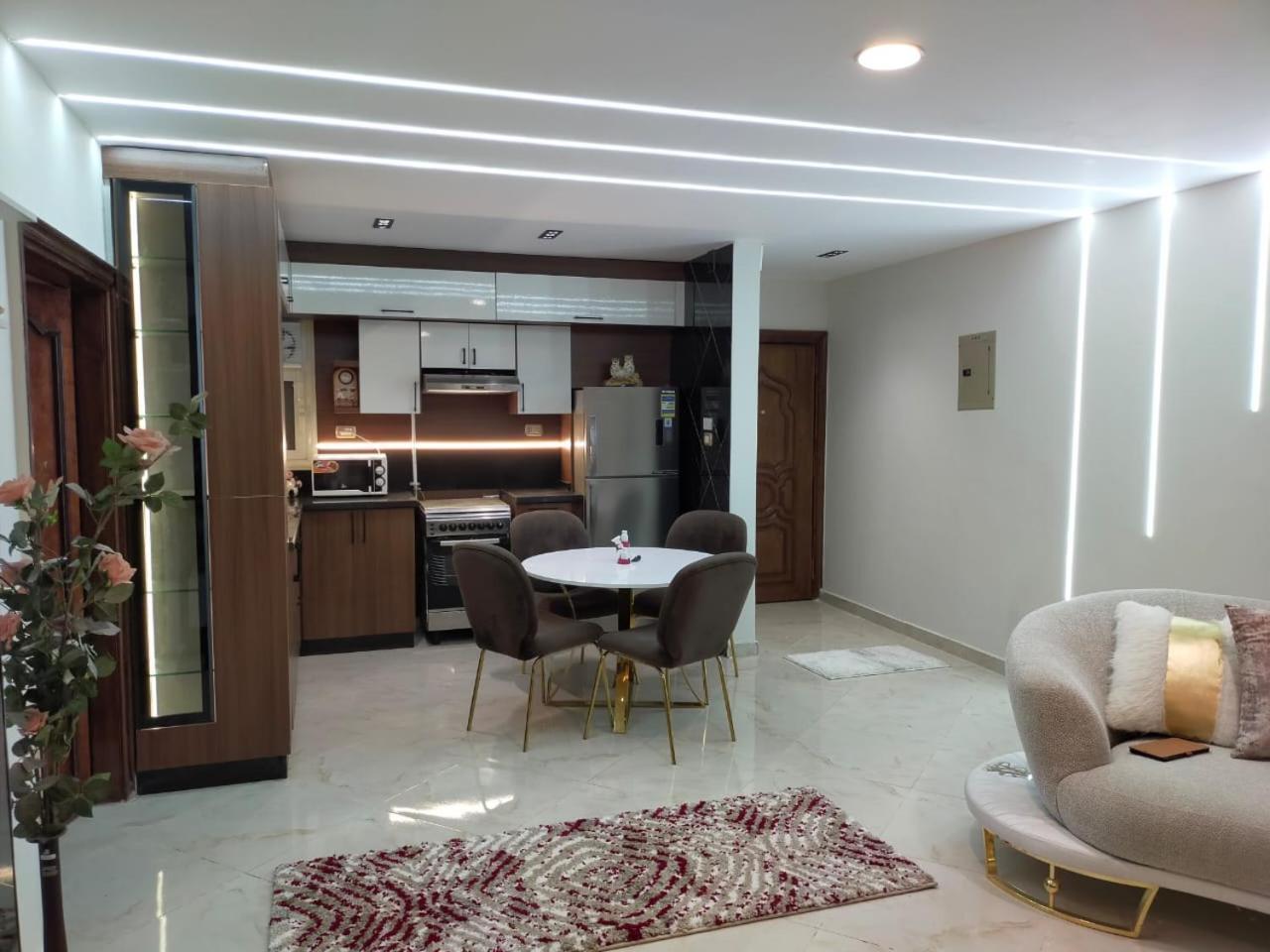 شقه فندقيه Apartment Cairo